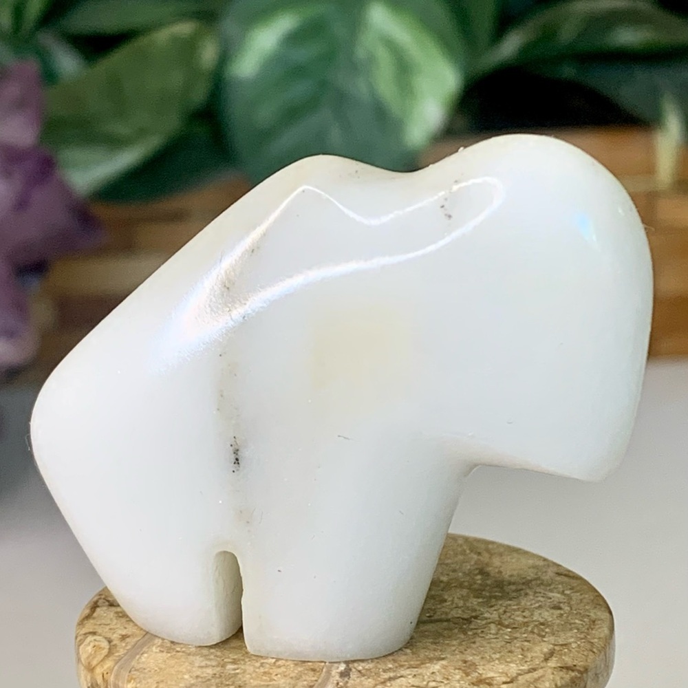 White Buffalo Marble Zuni Style Carved Rock Bison Sculpture Fetish Animal 2.2”